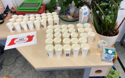 1.Juni ist Milchtag